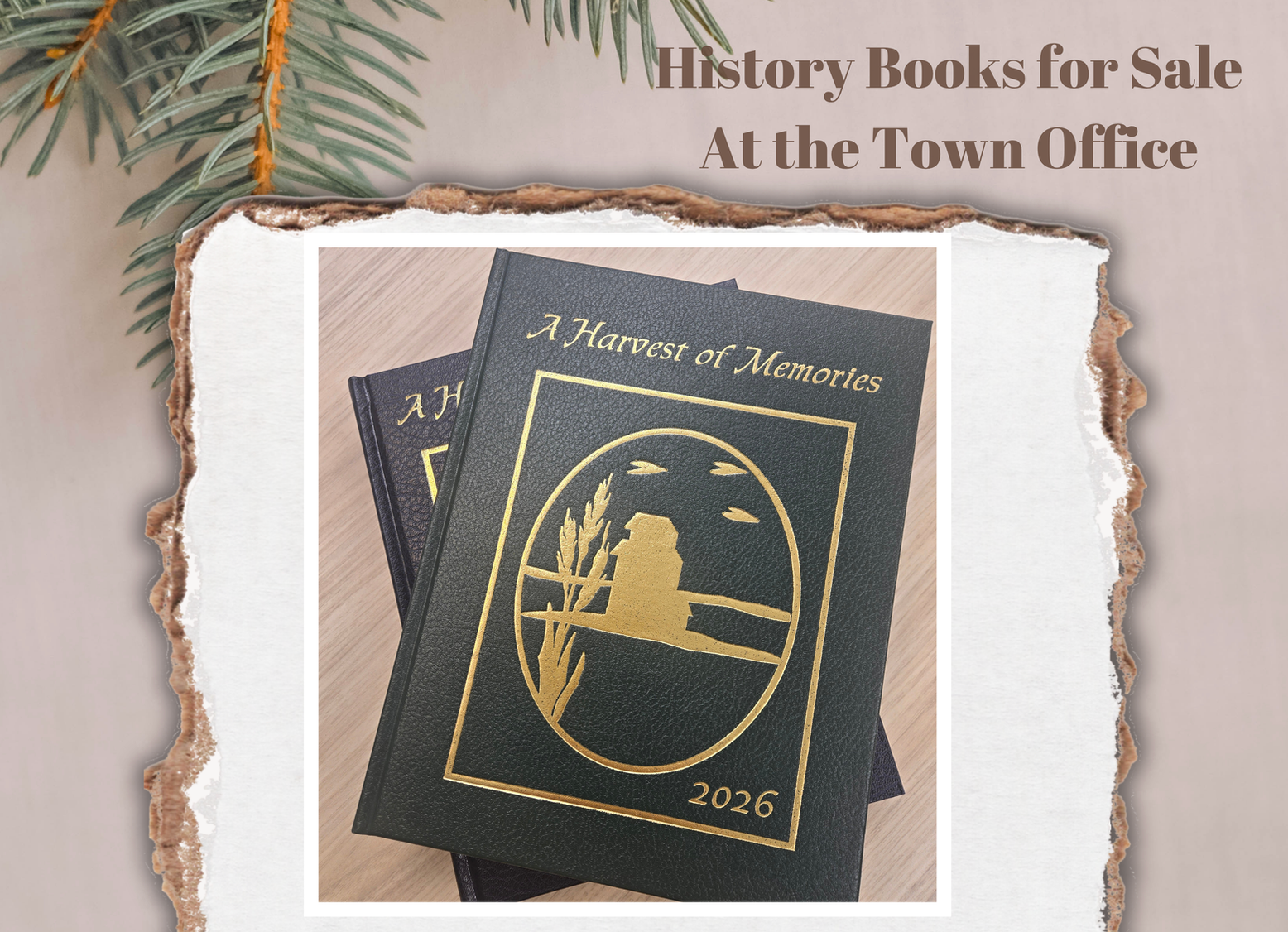 New History Books for Sale at the Town office